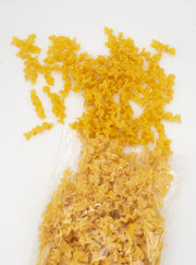 WELLNESTER 500g - Stanglnudeln